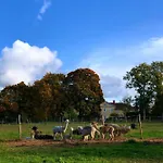 Kiiski *