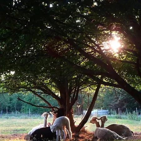 Βίλα Kiiski Teijo