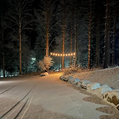 Kiiski Vila